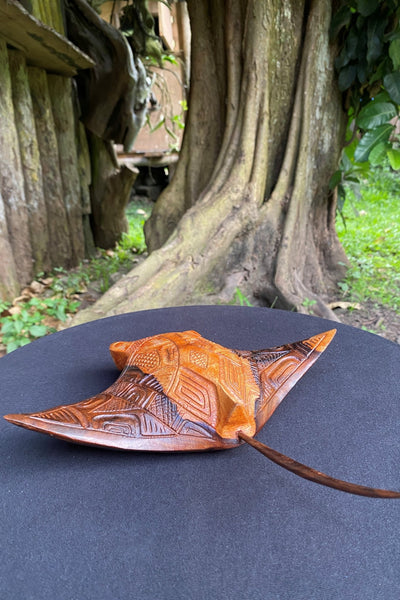 Manta ray - Cannibal Art