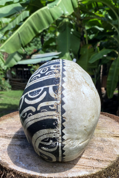 Marquesan Warrior Trophy Skull – Pre - Order - Cannibal Art