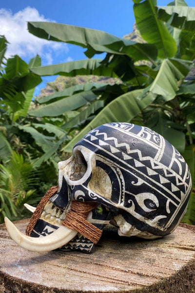 Marquesan Warrior Trophy Skull – Pre - Order - Cannibal Art