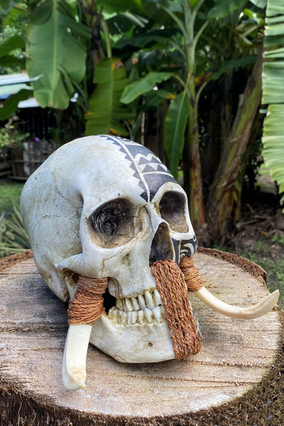 Marquesan Warrior Trophy Skull – Pre - Order - Cannibal Art