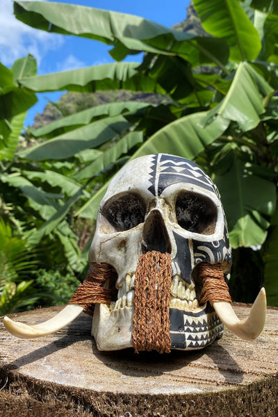 Marquesan Warrior Trophy Skull – Pre - Order - Cannibal Art