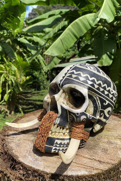 Marquesan Warrior Trophy Skull – Pre - Order - Cannibal Art
