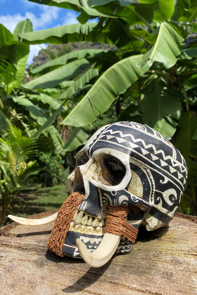 Marquesan Warrior Trophy Skull – Pre - Order - Cannibal Art