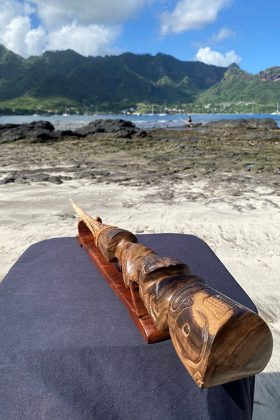 Swordfish Rostrum - Cannibal Art