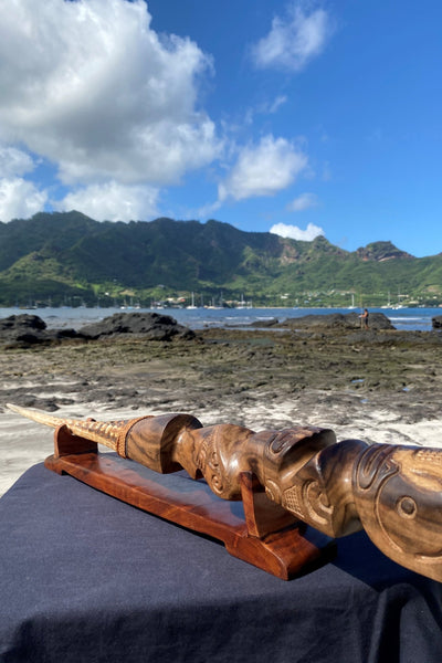 Swordfish Rostrum - Cannibal Art