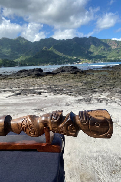 Swordfish Rostrum - Cannibal Art