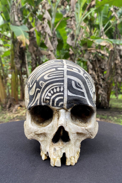Warrior Trophy Skull – Pre - Order - Cannibal Art