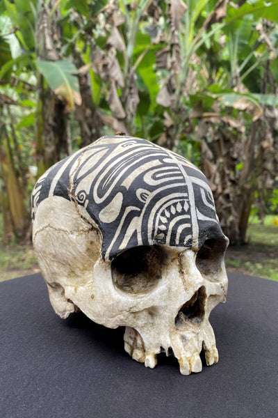 Warrior Trophy Skull – Pre - Order - Cannibal Art