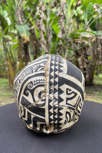 Warrior Trophy Skull – Pre - Order - Cannibal Art