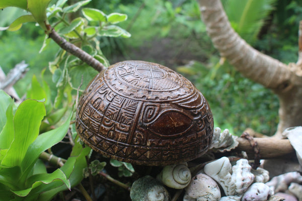 Fully carved Marquesan bowl ∿ Mata Tiki - Cannibal Art