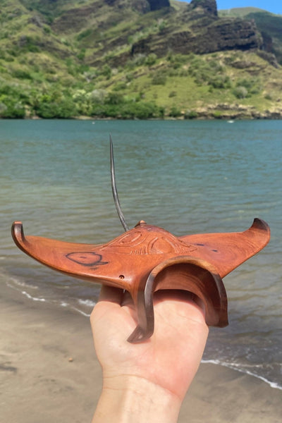 Manta ray - Cannibal Art