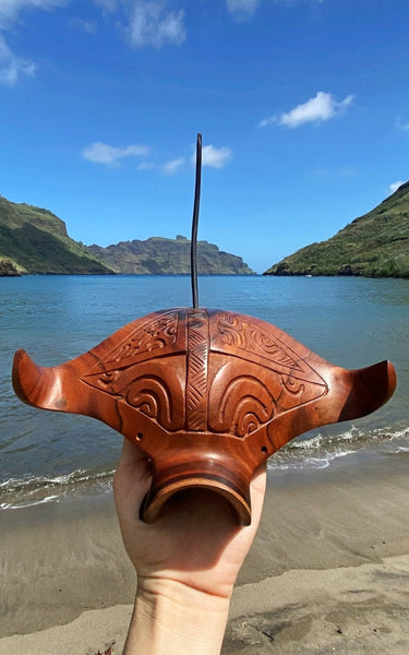 Manta ray - Cannibal Art