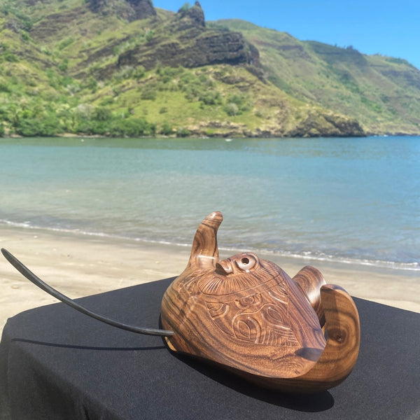 Manta ray - Cannibal Art