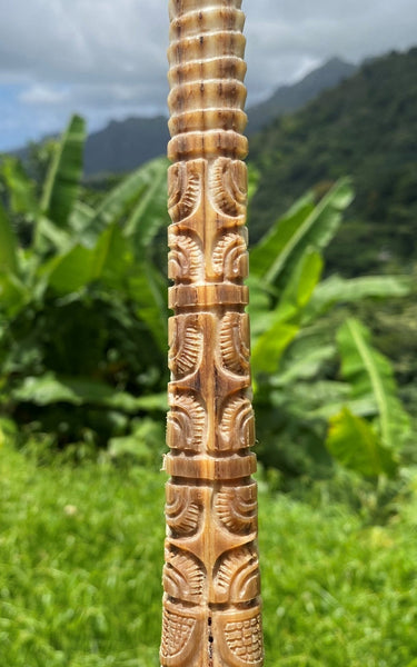 Marlin rostrum (stand included) - Cannibal Art