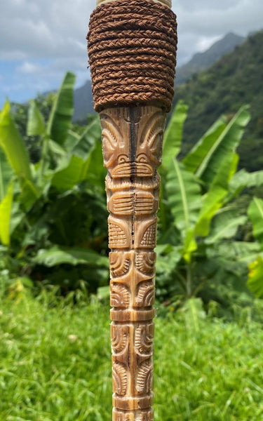 Marlin rostrum (stand included) - Cannibal Art