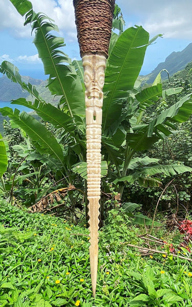 Swordfish rostrum - Cannibal Art