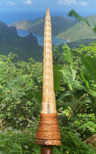 Swordfish rostrum - Cannibal Art