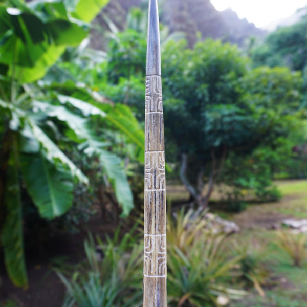 Swordfish rostrum - spear - Cannibal Art
