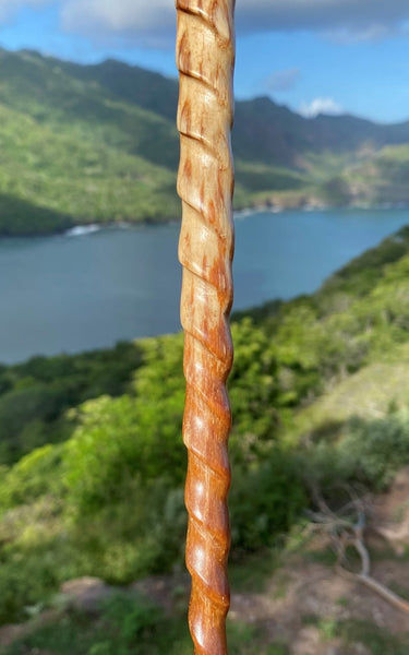 Swordfish rostrum (stand included) - Cannibal Art