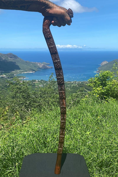Totoko (Walking stick) - Cannibal Art