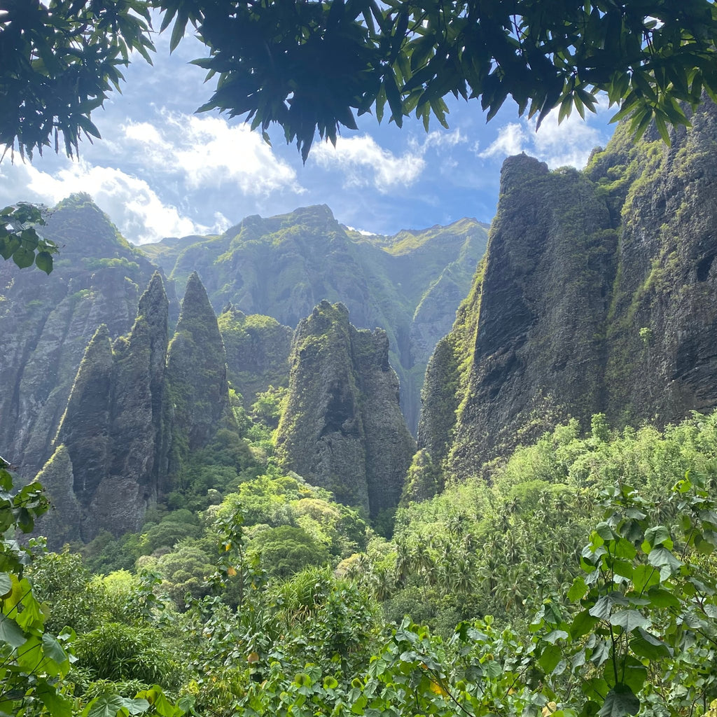 Discover the Best Time to Visit Nuku Hiva Island