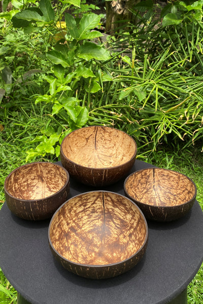 Set of Four Coconut Bowls