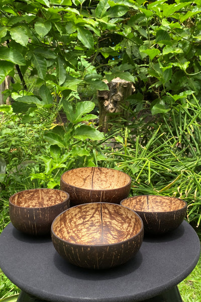 Set of Four Coconut Bowls