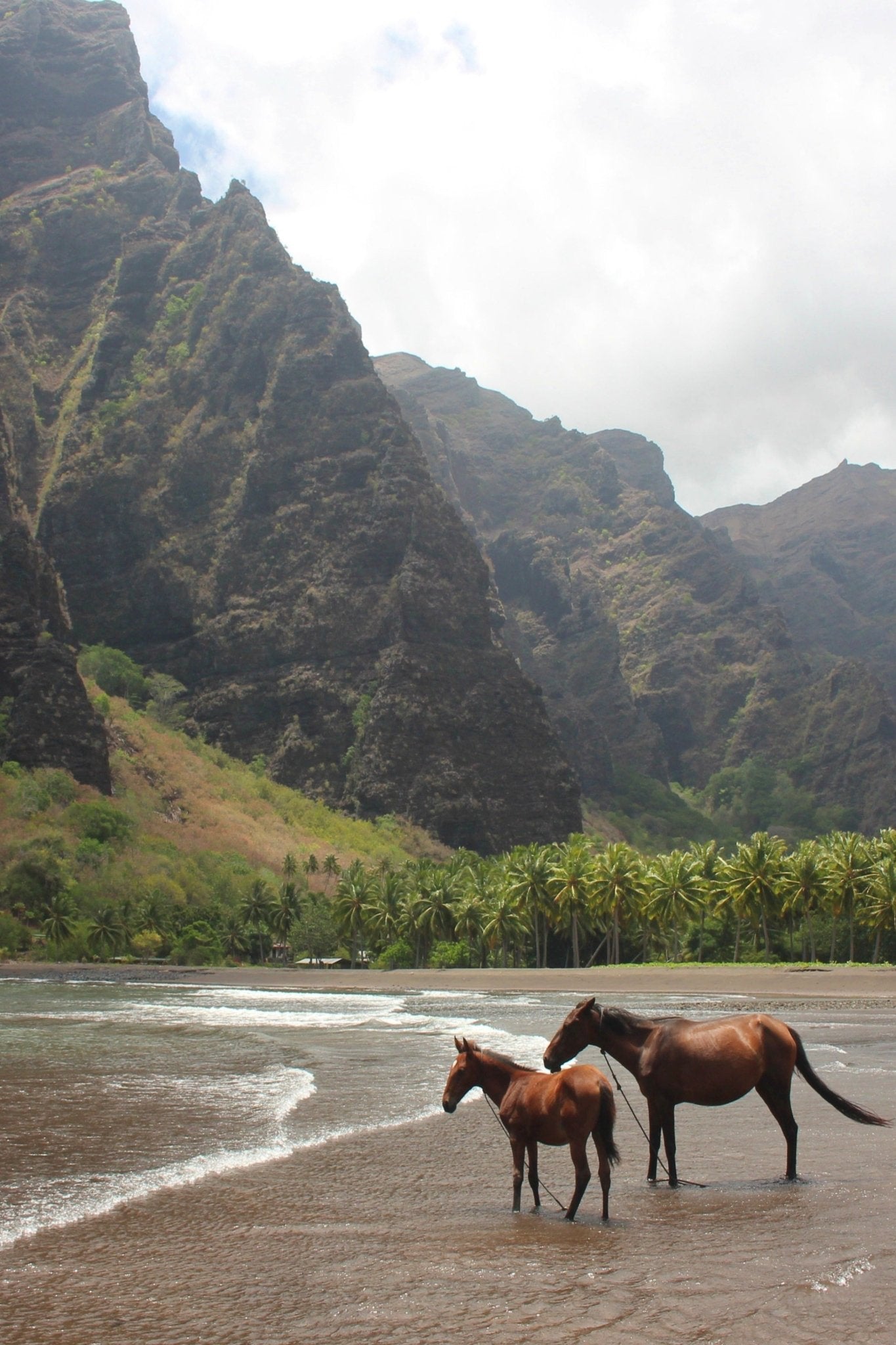 Hakaui adventure - 1 day journey (lunch included) - Cannibal Art