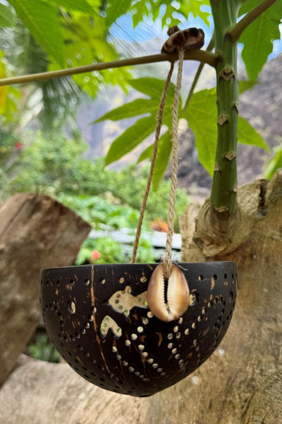 Hand - Carved Coconut Hanging Bowl - Cannibal Art