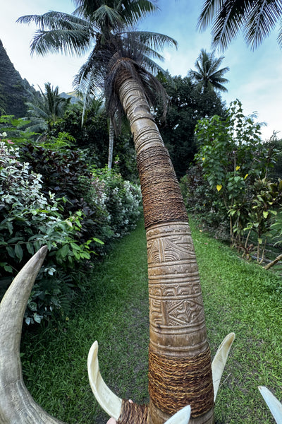 Marquesan Warrior’s Hook - Koeva