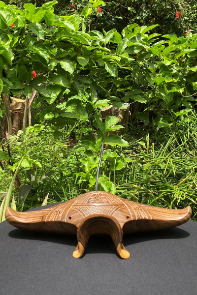 Manta Ray - Cannibal Art