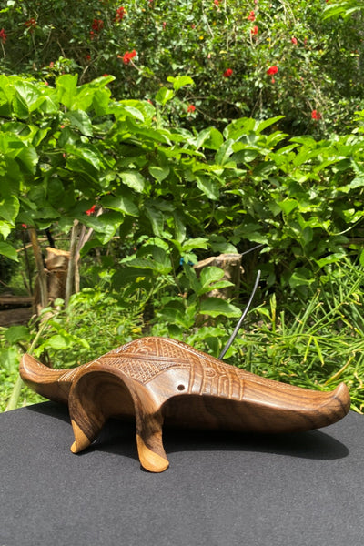 Manta Ray - Cannibal Art