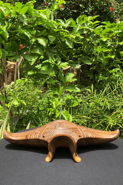 Manta Ray