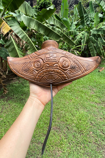 Manta Ray