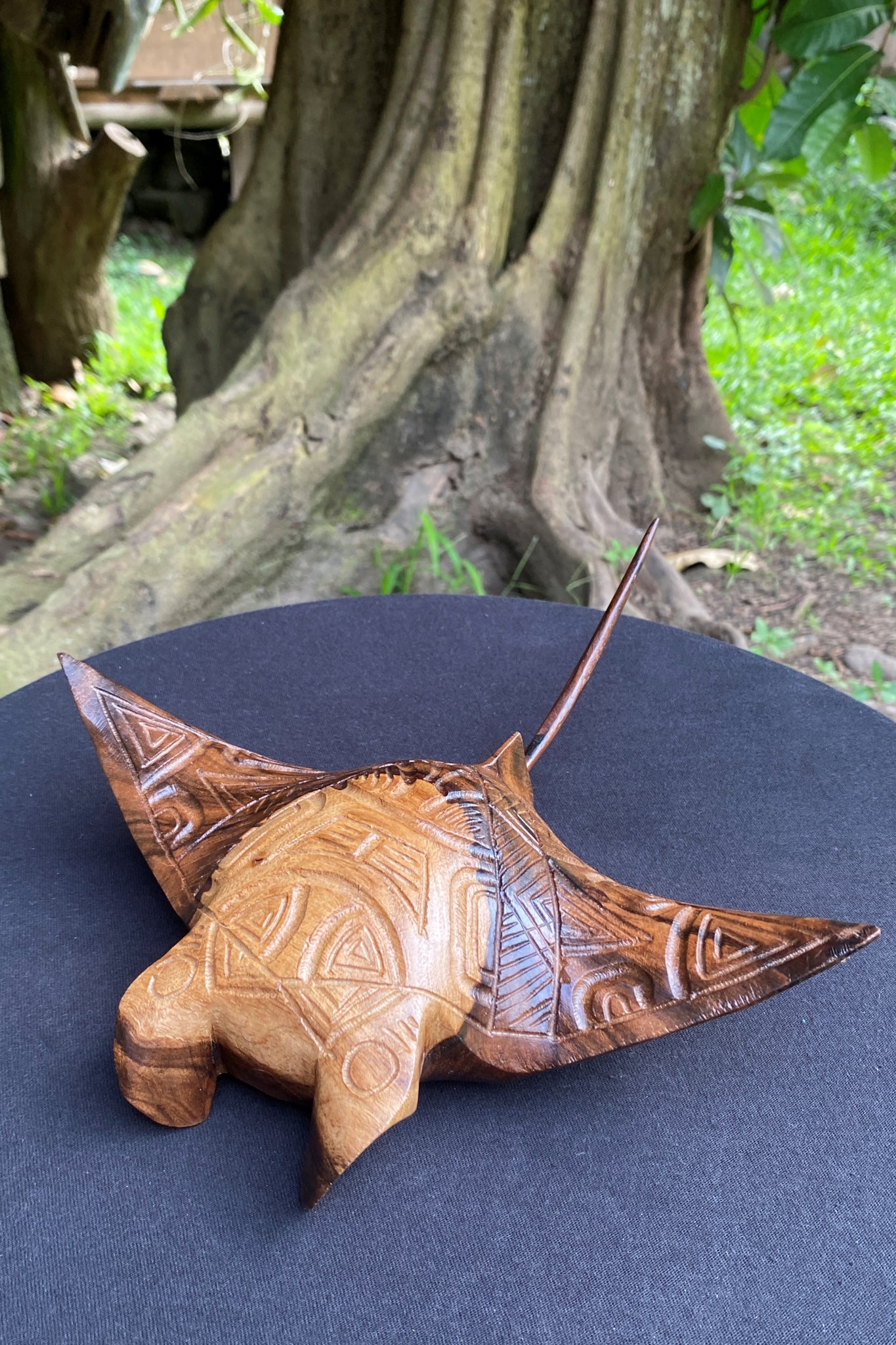 Marquesan manta ray