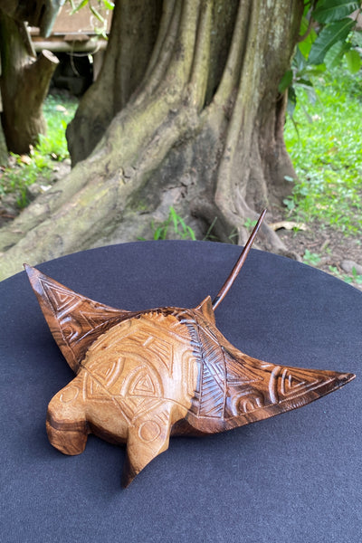 Marquesan manta ray