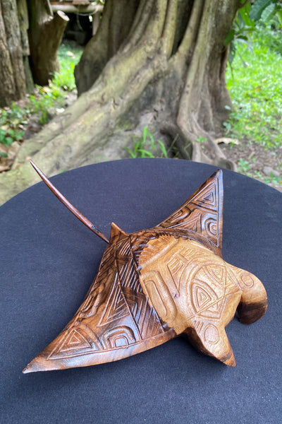 Marquesan manta ray