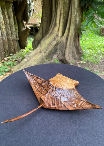 Marquesan manta ray