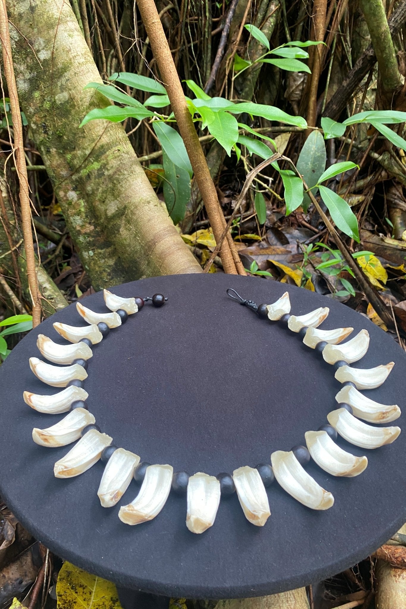 Marquesan Hunter’s Necklace - Cannibal Art