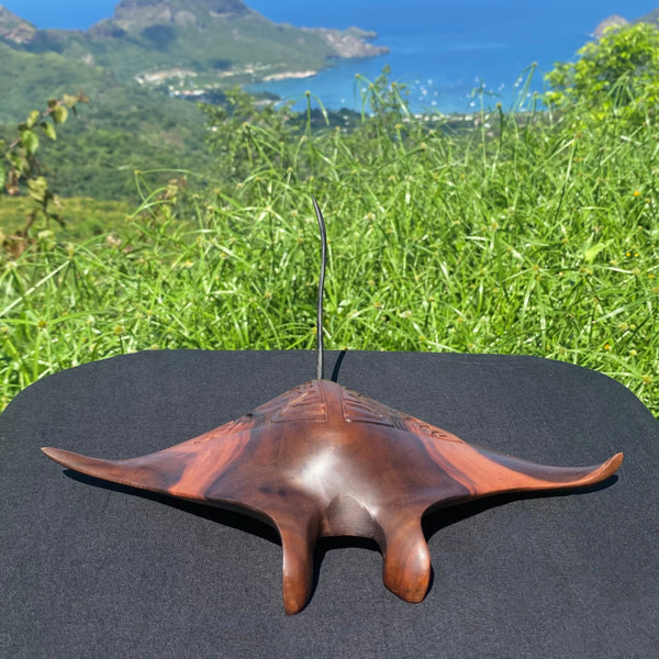 Marquesan manta ray