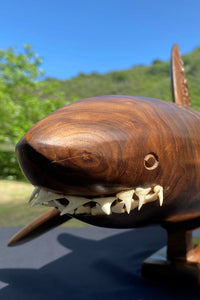 Marquesan shark