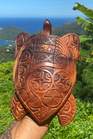 Marquesan turtle
