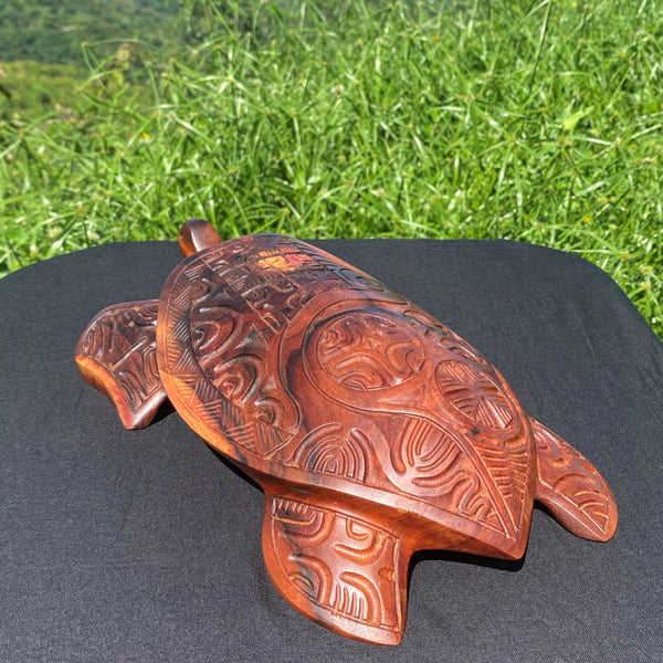 Marquesan turtle