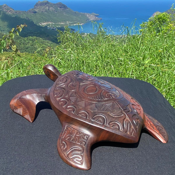 Marquesan turtle