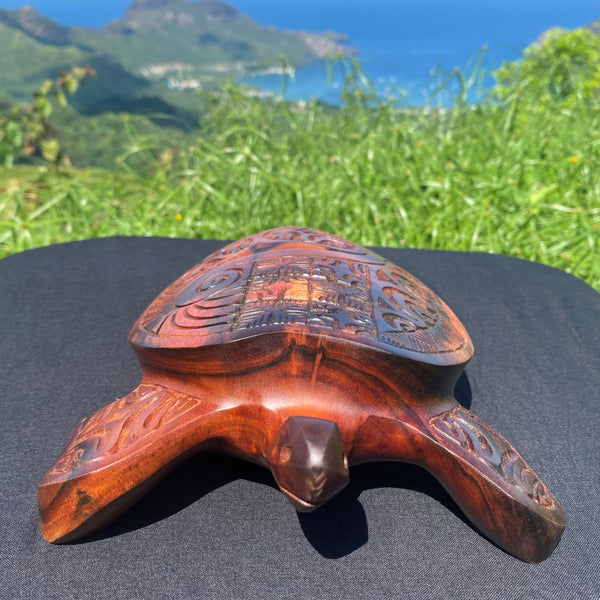 Marquesan turtle