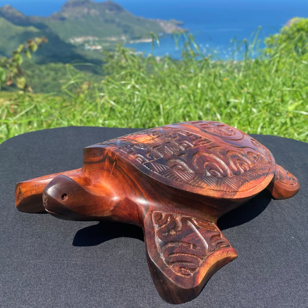 Marquesan turtle