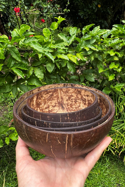 Set of Four Coconut Bowls - Cannibal Art