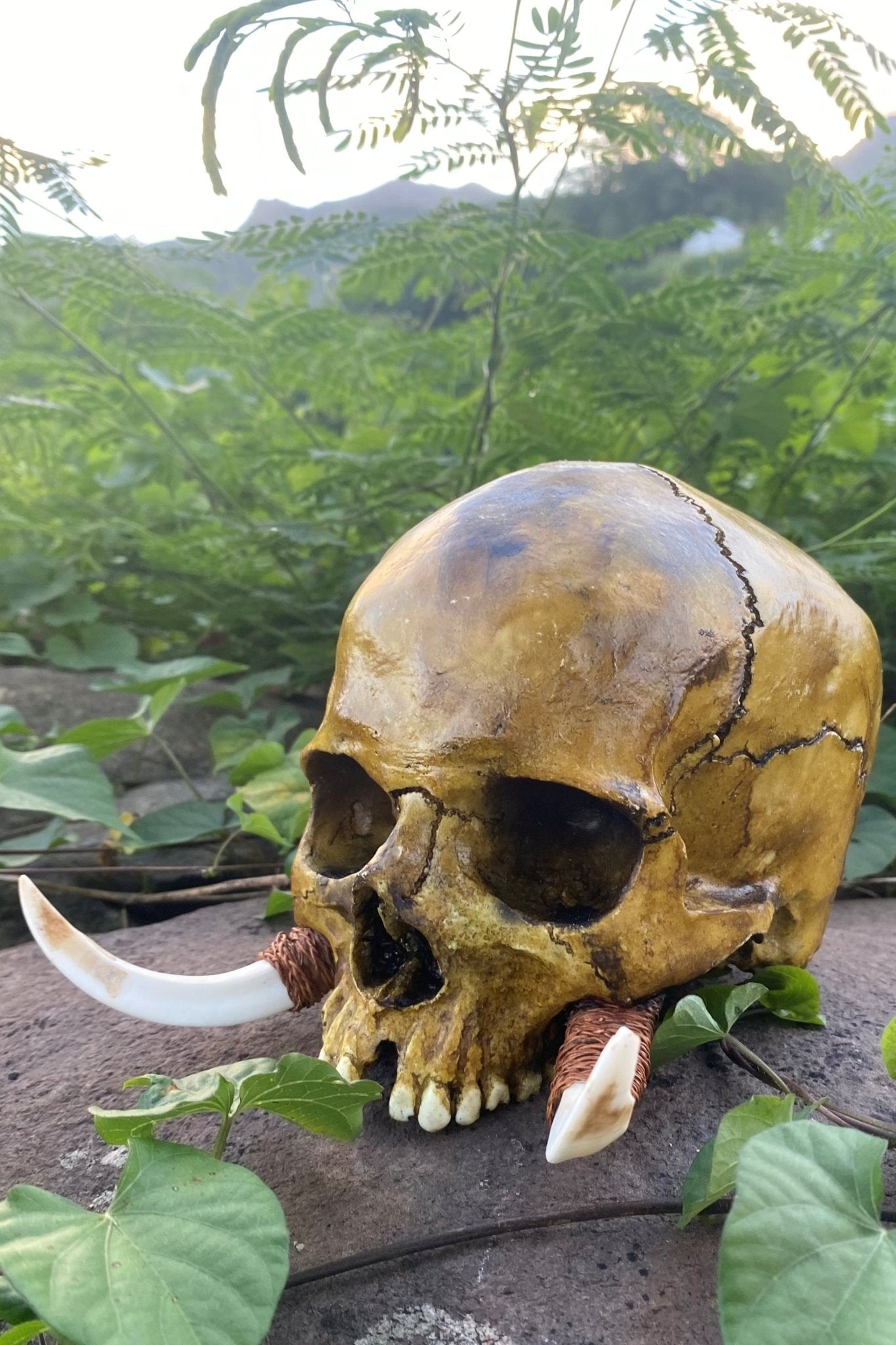 Warrior Trophy Skull - Cannibal Art