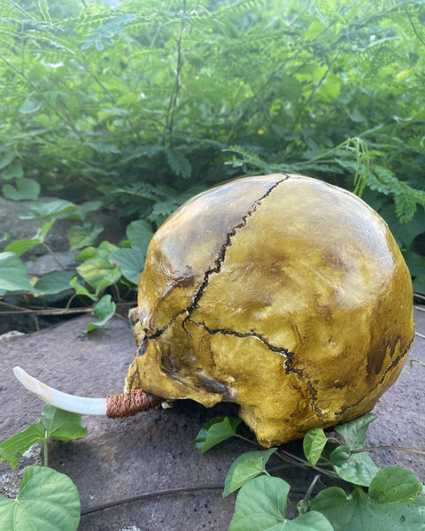 Warrior Trophy Skull - Cannibal Art