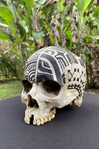 Warrior Trophy Skull – Pre - Order - Cannibal Art